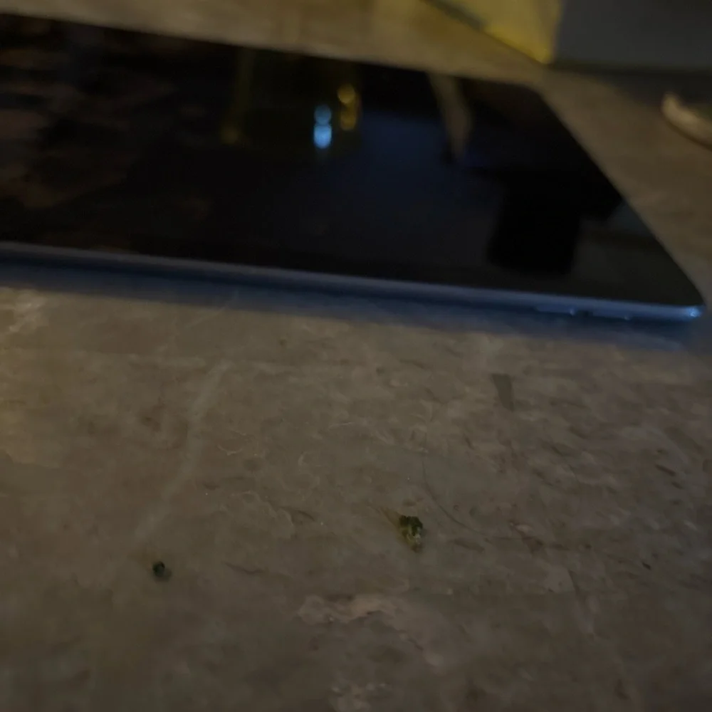 iPad Air 2